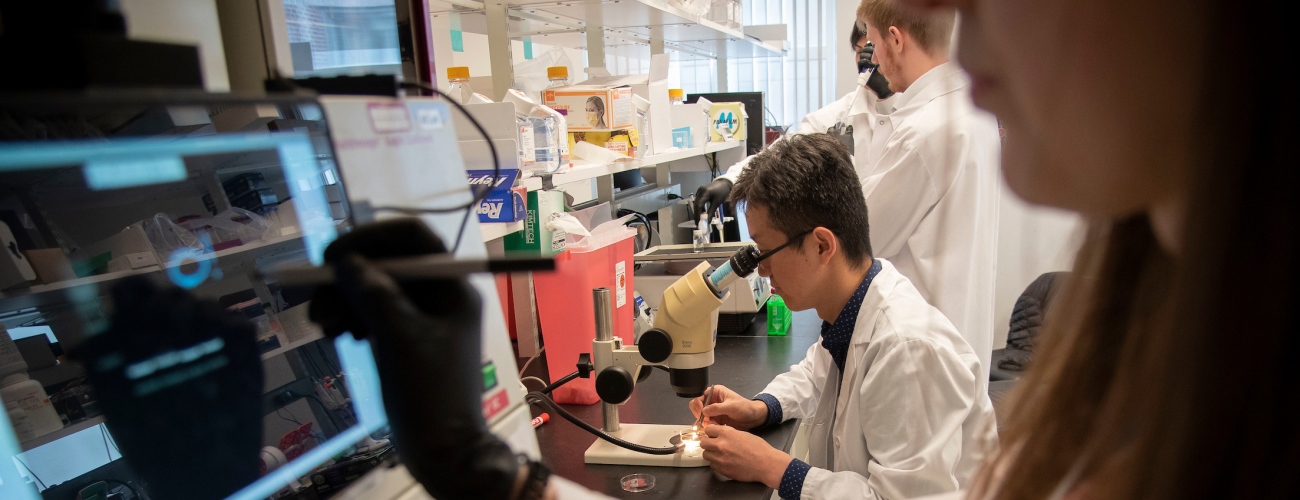 researchers in working in laboratory