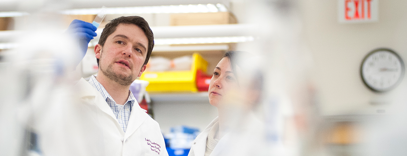 researchers looking at a gene sample in lab 