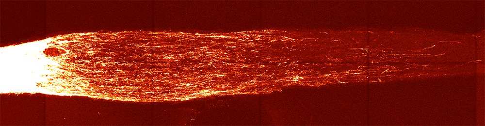 Regenerating axons post optic nerve crush in the aged mice given OSK treatment