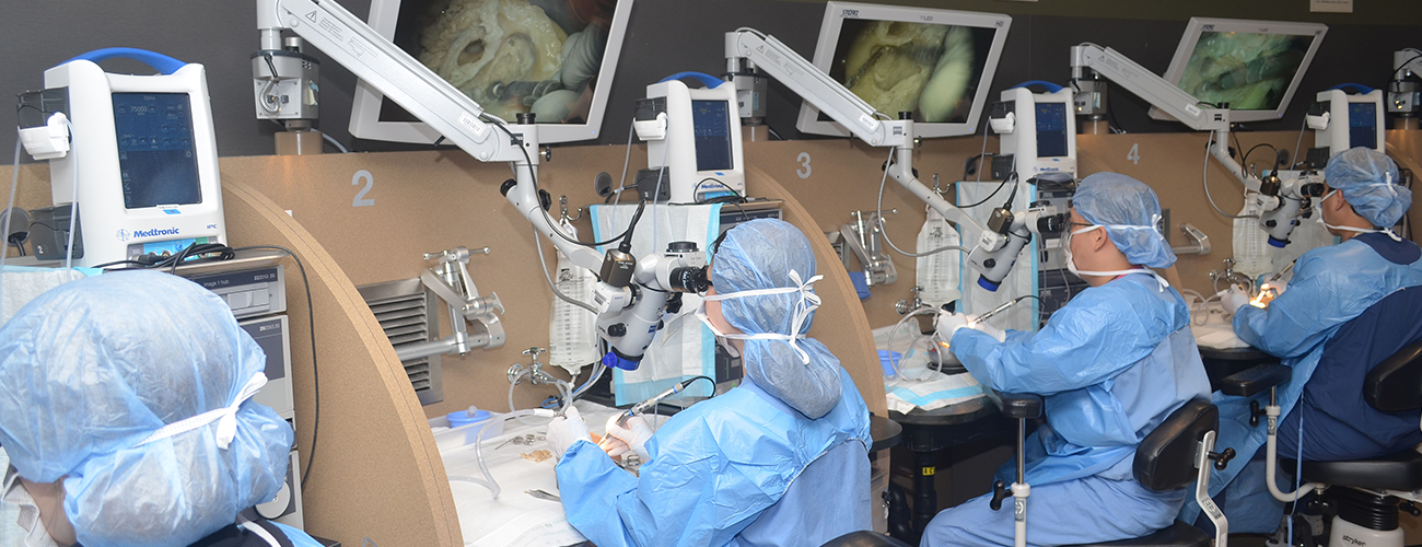 surgeons practicing in the ent training lab at mass eye and ear